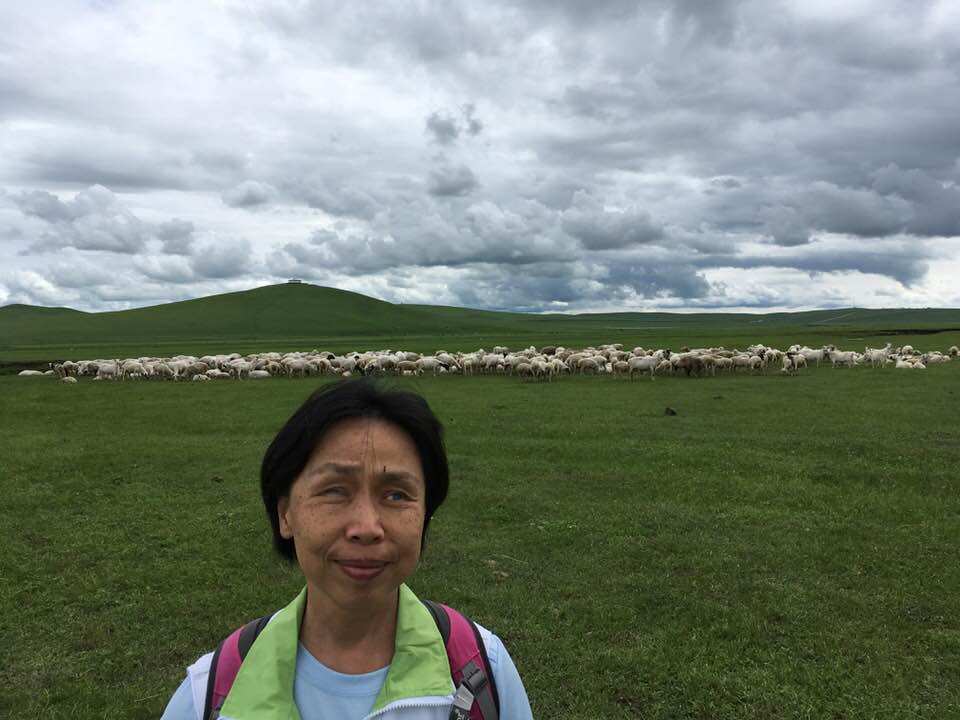 到處都是成群牛羊。
