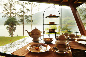 形式古典的碩大茶壺、美麗茶杯，高高堆疊的三層點心塔，沉甸甸的叉匙餐具，不愧紅茶莊園風範