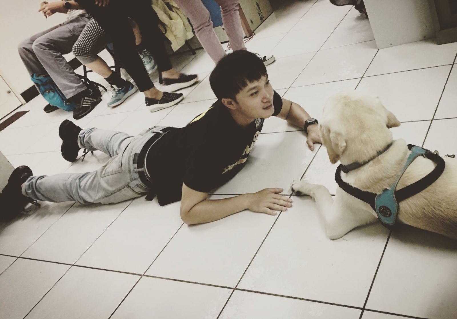 南部重建院舉辦的導盲犬宣傳活動。