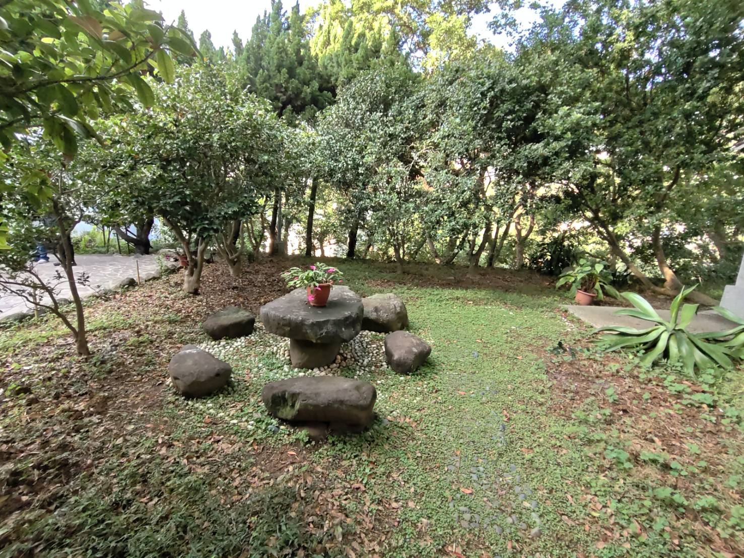 「普濟寺」遠離塵囂，是讓人安放心靈的好地方。